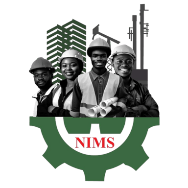 NIMS Logo