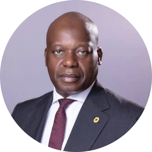 Wale Tinubu, CON